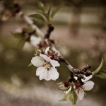 How to Support Someone You Love Who is Grieving