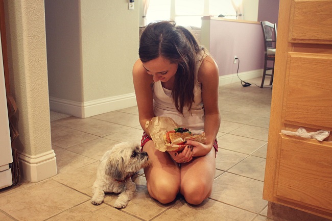 jealous dog #6secondsflat