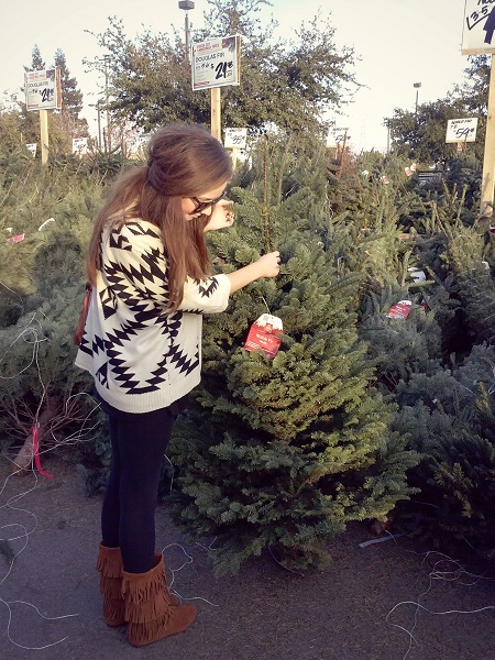 Christmas Tree Lot