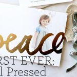 HOLIDAY CARDS FROM MINTED