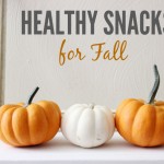 HEALTHY SNACKS FOR FALL