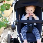 STRAWBERRY PICKING