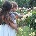 A SUMMER’S NIGHT AT THE ROSE GARDEN