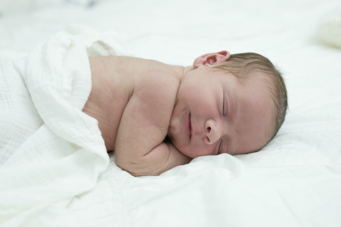 newborn photos 3