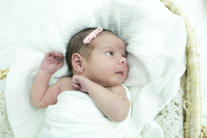newborn photos 4