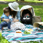 A PICNIC IN THE PARK