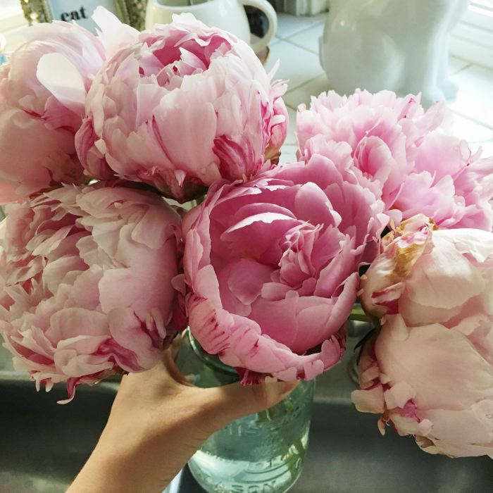 pink peonies