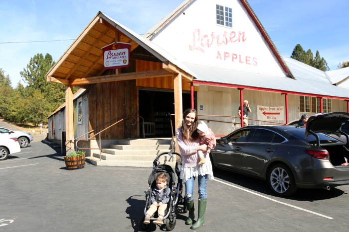 apple-hill-2