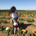 THE PUMPKIN PATCH!