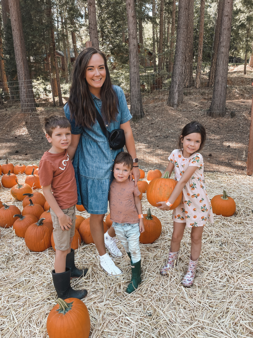 pumpkin-patch-1.jpg