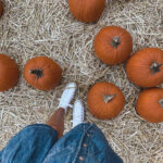 TO THE PUMPKIN PATCH!