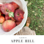 APPLE HILL GUIDE TO THE BEST FARMS